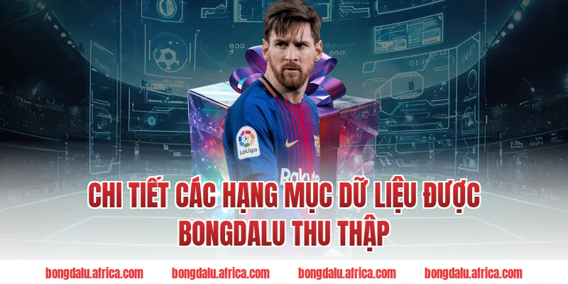 Chi Tiết Các Hạng Mục Dữ Liệu Được Bongdalu Thu Thập