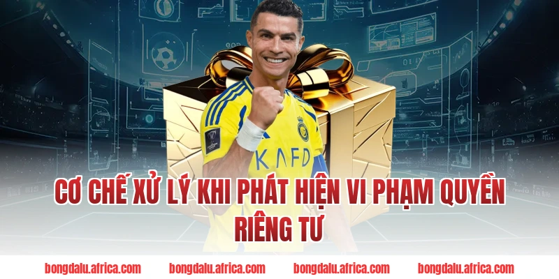 Cơ Chế Xử Lý Khi Phát Hiện Vi Phạm Quyền Riêng Tư